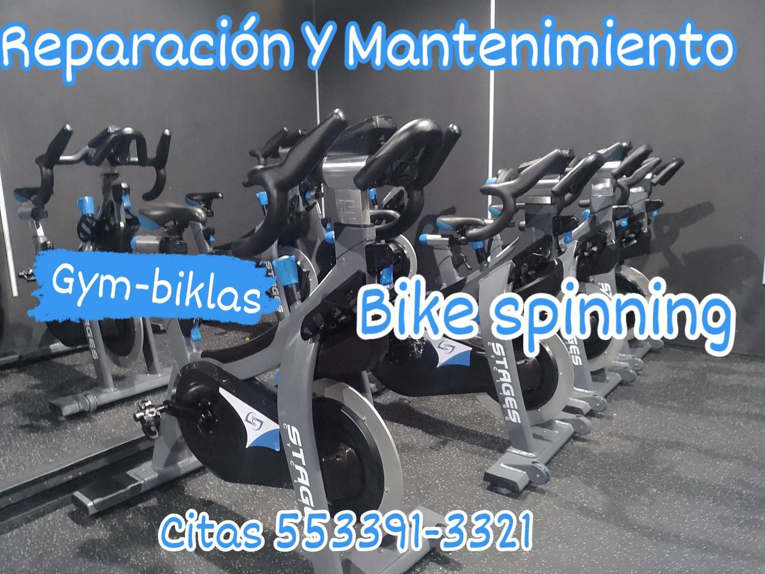 <span style="font-weight: bold;">REPARACIÓN DE BICI SPINNIG</span> 